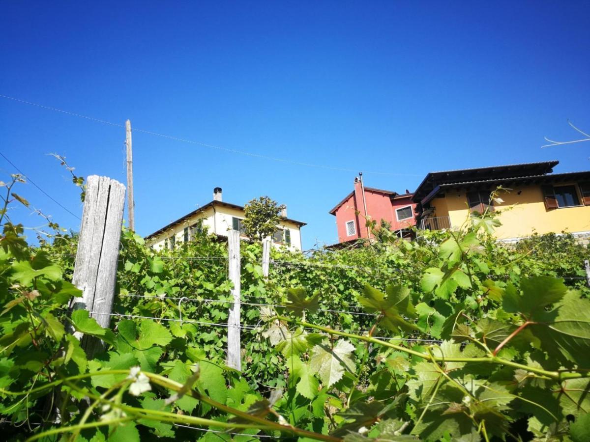 Tenuta Monteoliveto - Family Cottage - Agriturismo Nelle Langhe Vesime Kültér fotó